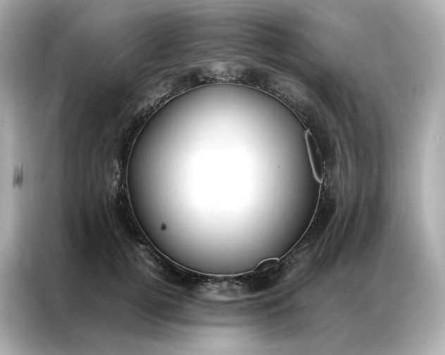 X0000086940752200704301137