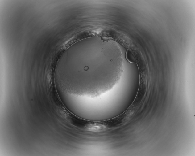 X0000086940754200704301137