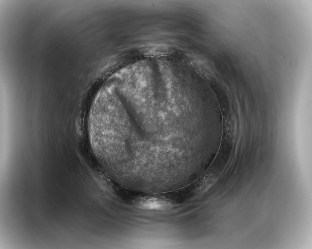 X0000086940755200704301137