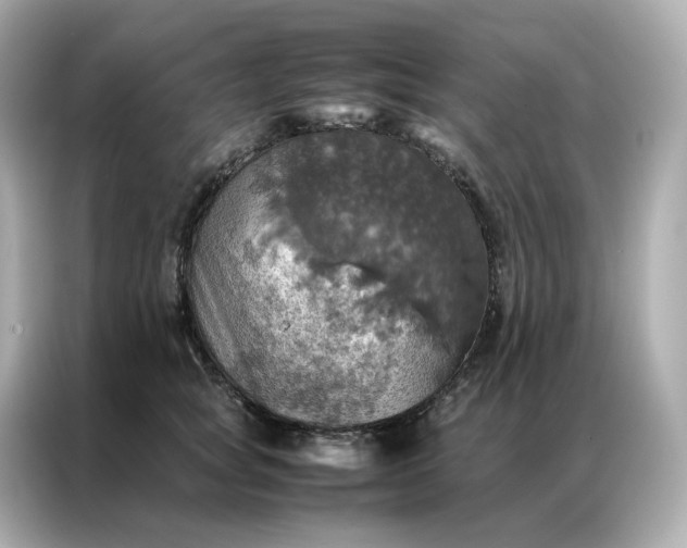 X0000086940757200704301137
