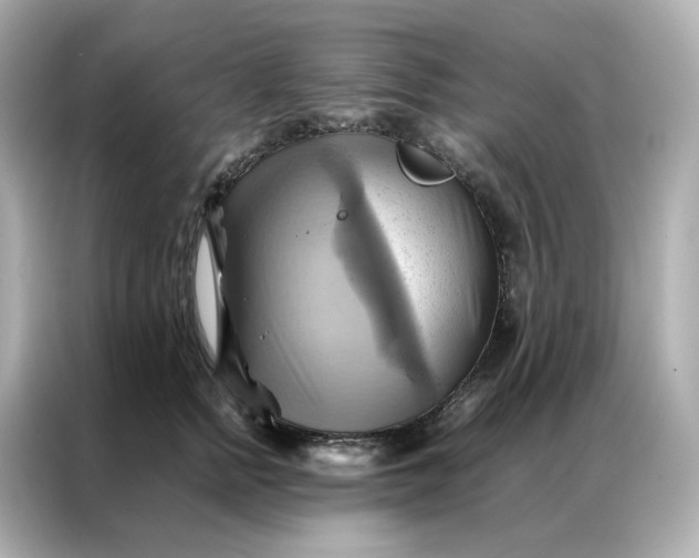 X0000086940758200704301137
