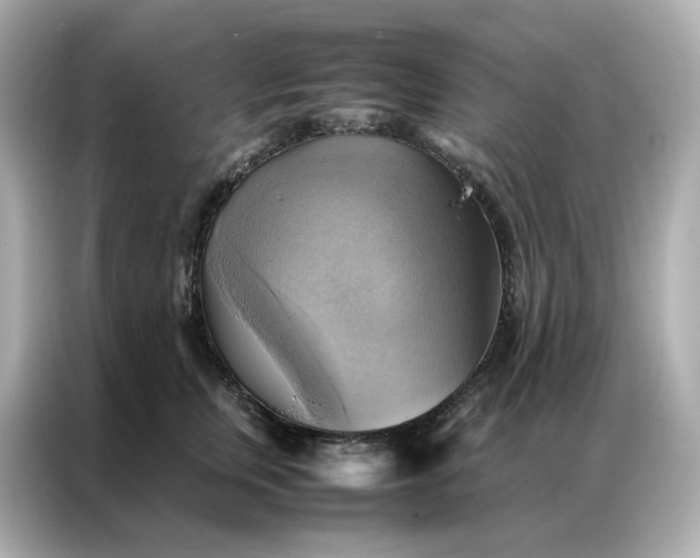 X0000086940759200704301137