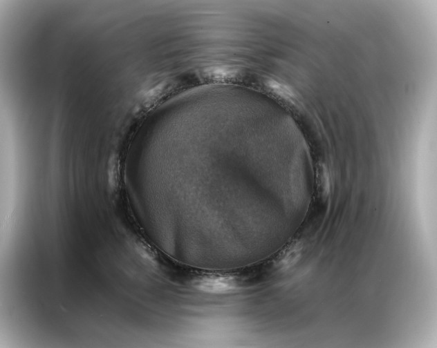 X0000086940760200704301137