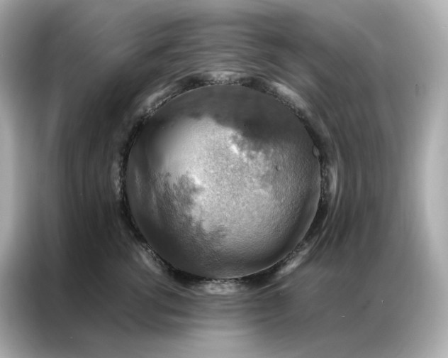 X0000086940762200704301137