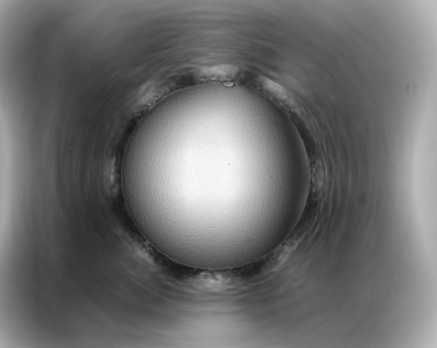 X0000086940764200704301137