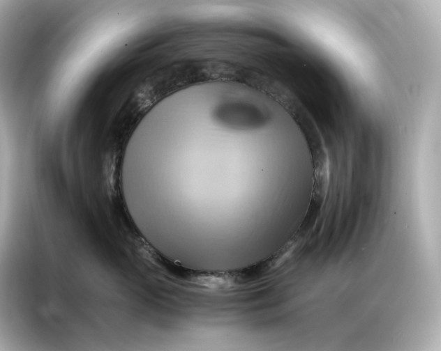X0000086940765200704301137