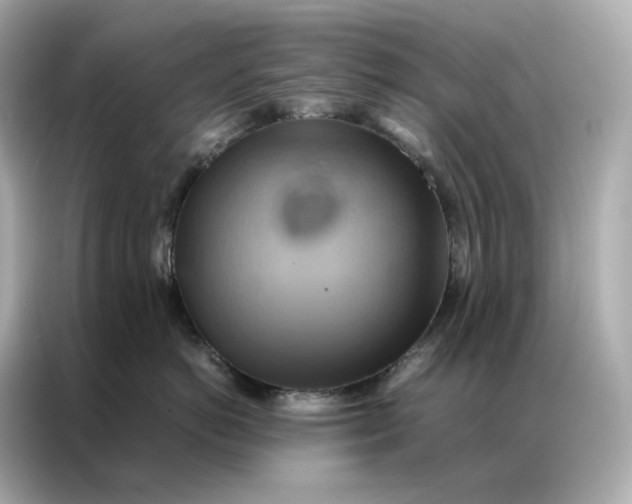 X0000086940766200704301137