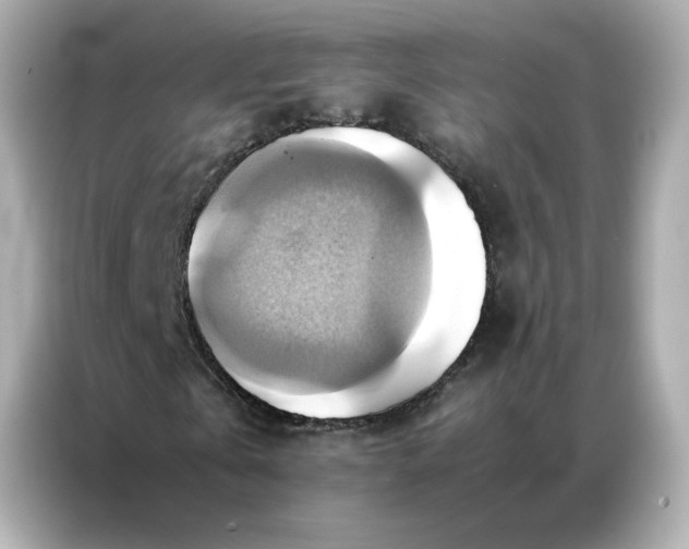X0000086940769200704301136