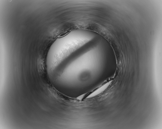 X0000086940772200704301136