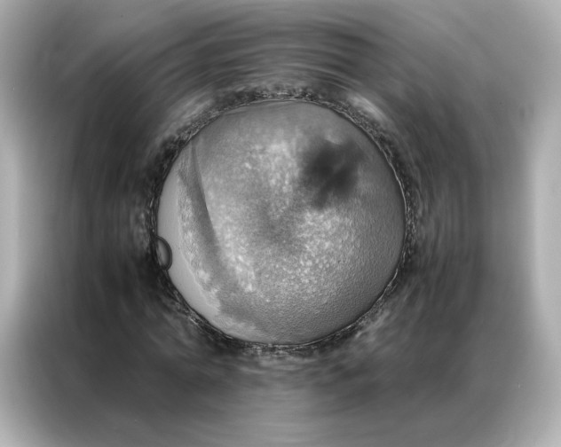 X0000086940774200704301136