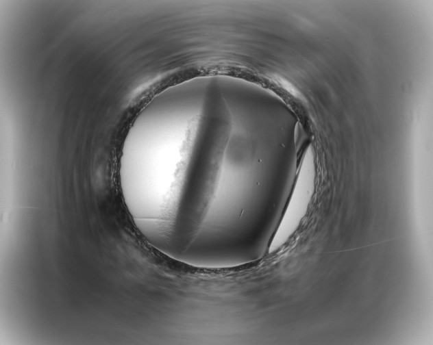 X0000086940775200704301136