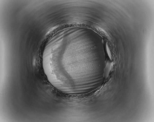X0000086940776200704301136