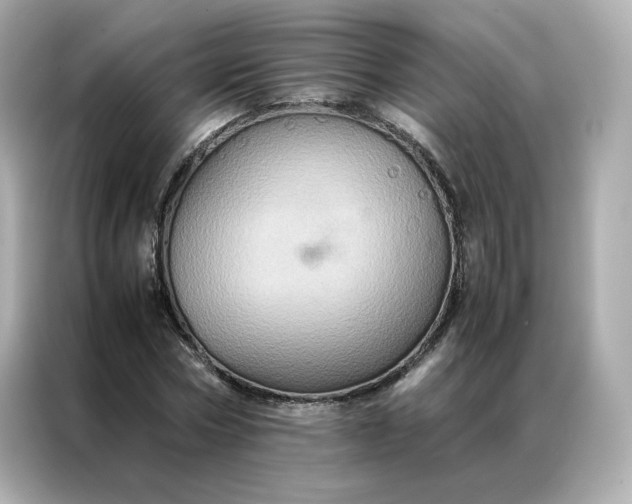 X0000086940778200704301136