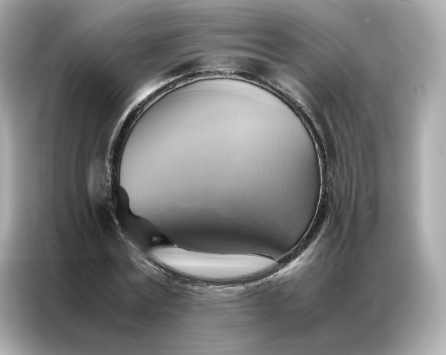 X0000086940779200704301136