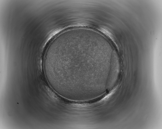 X0000086940781200704301136