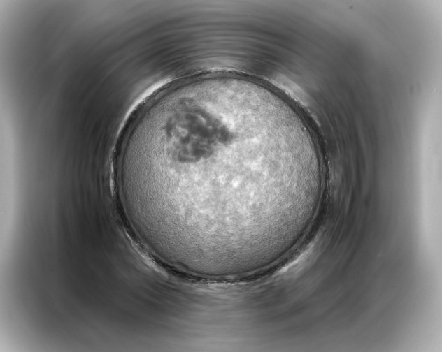 X0000086940782200704301136