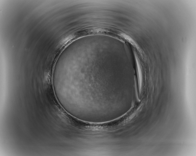 X0000086940785200704301136