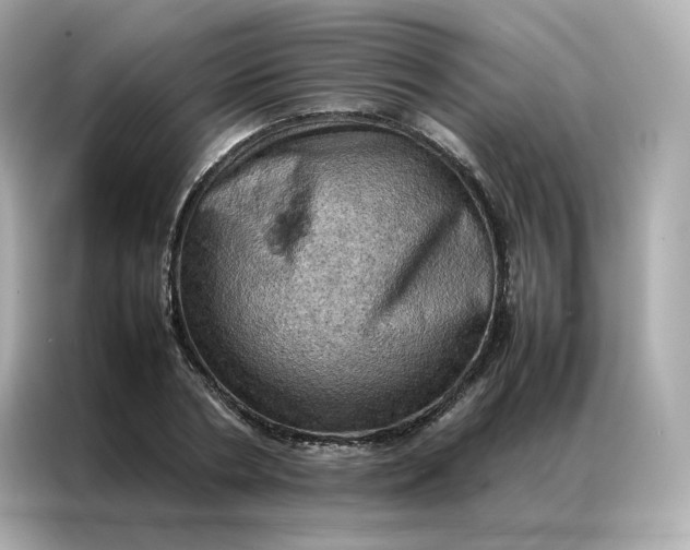 X0000086940786200704301136