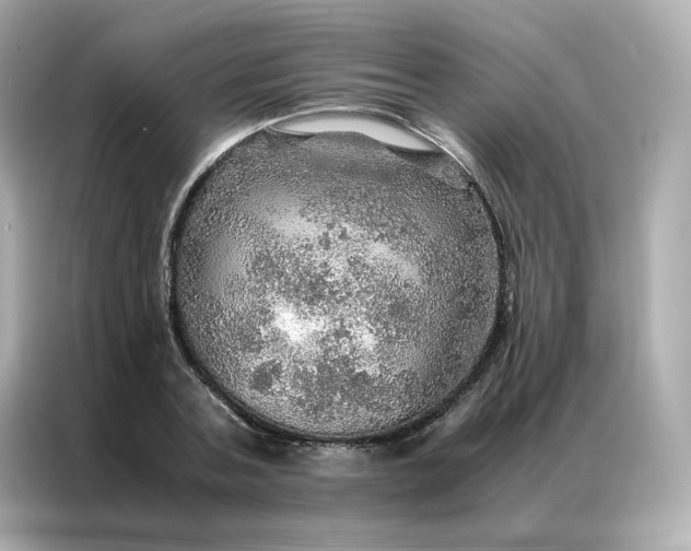 X0000086940787200704301136