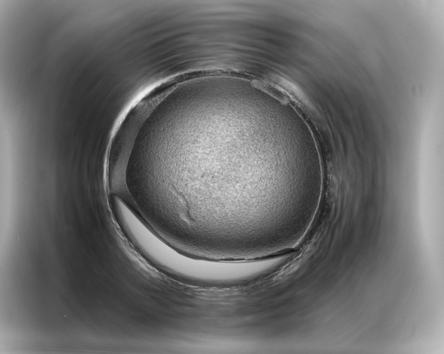 X0000086940788200704301136