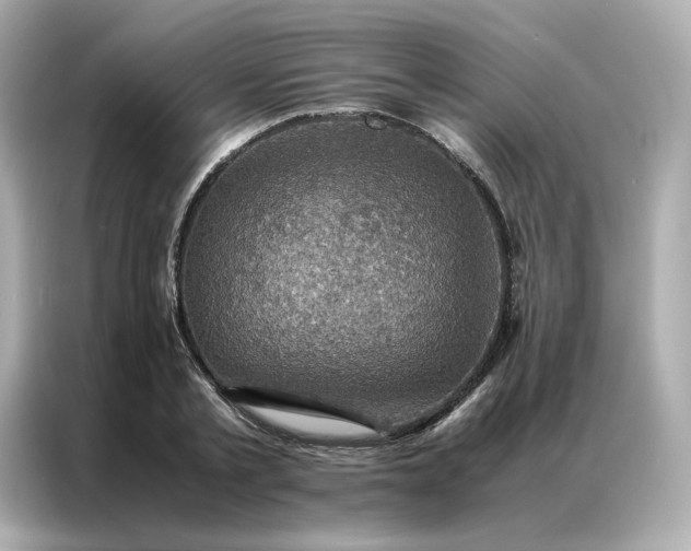 X0000086940789200704301136