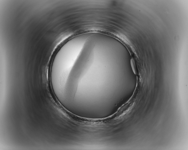 X0000086940790200704301136