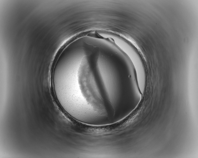 X0000086940791200704301136