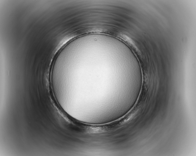 X0000086940794200704301136