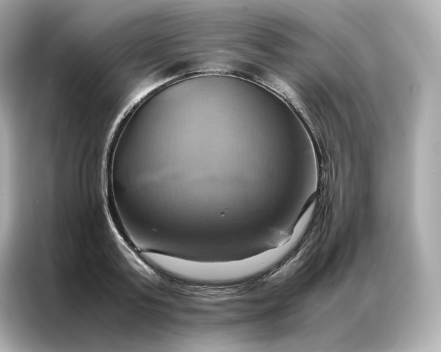 X0000086940795200704301136