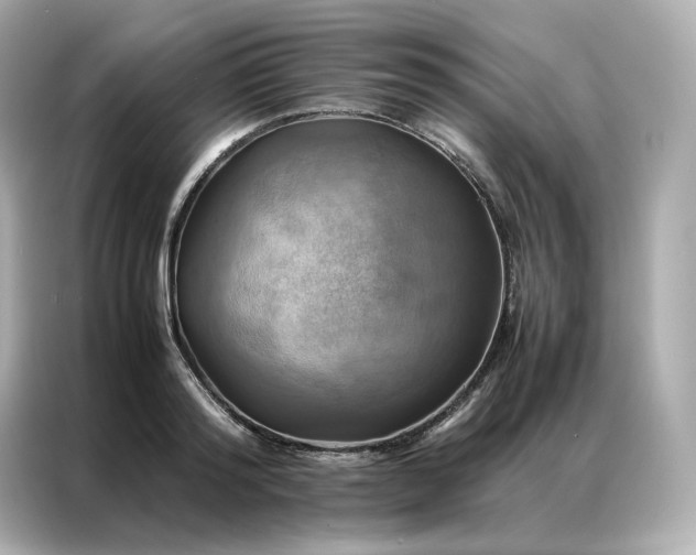 X0000086940796200704301136