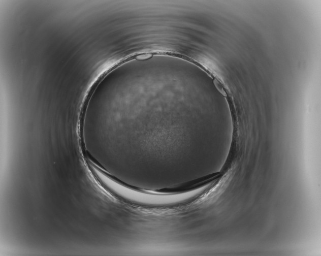 X0000086940797200704301136