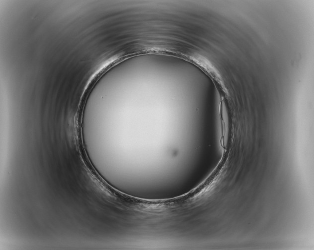X0000086940798200704301136