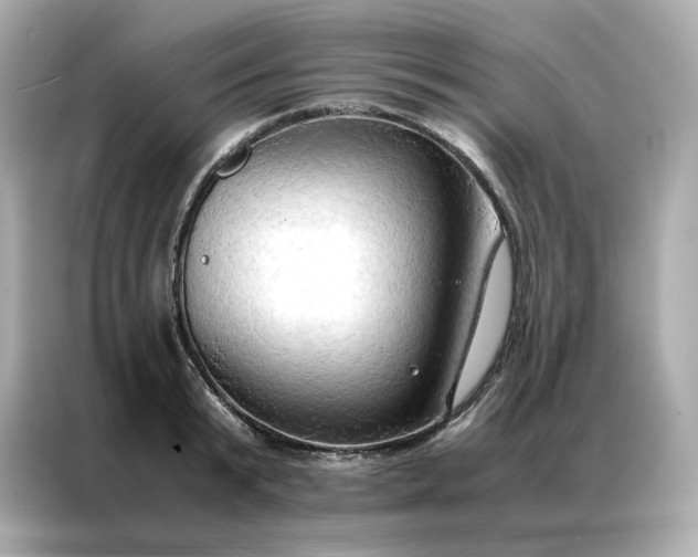 X0000086940799200704301136