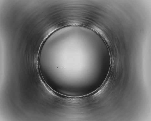 X0000086940802200704301136