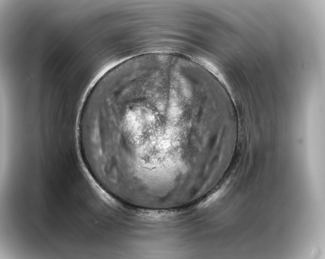 X0000086940803200704301136
