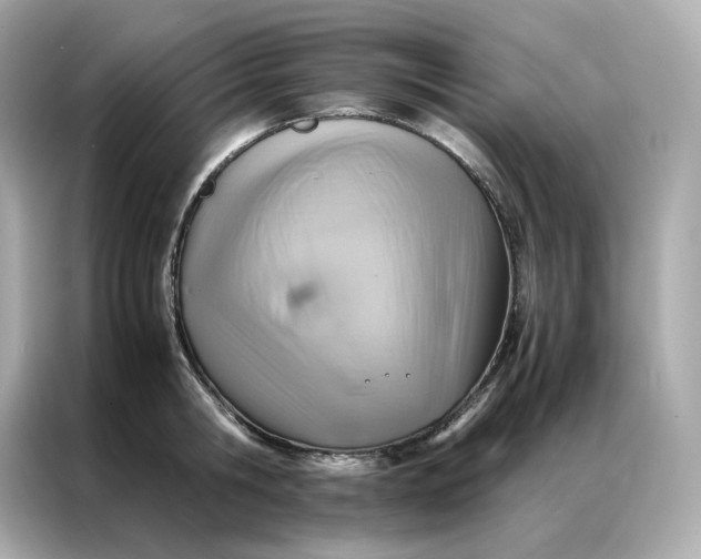 X0000086940806200704301136