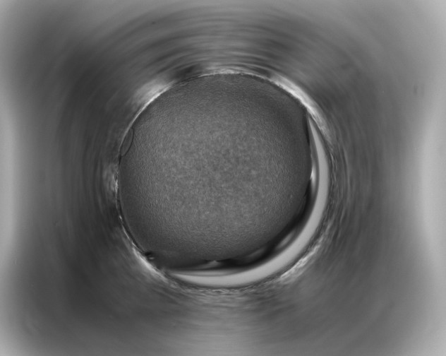 X0000086940809200704301136