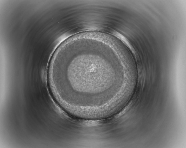 X0000086940810200704301136