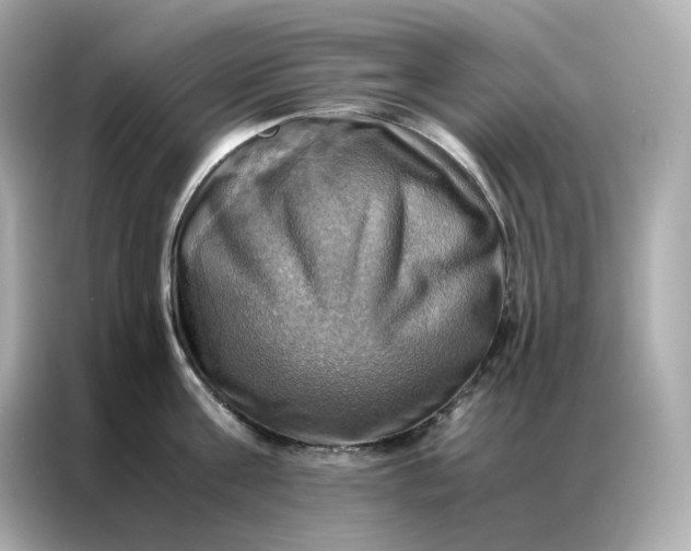X0000086940811200704301136