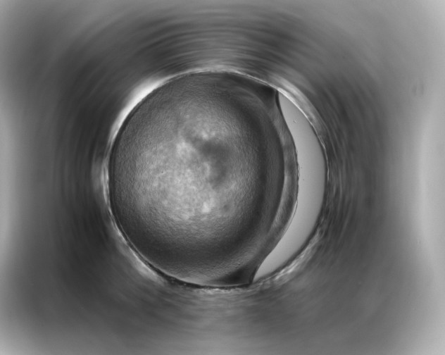 X0000086940812200704301136