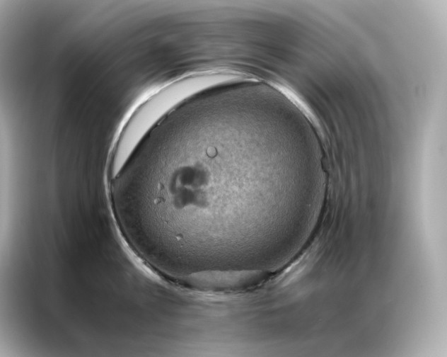 X0000086940813200704301136