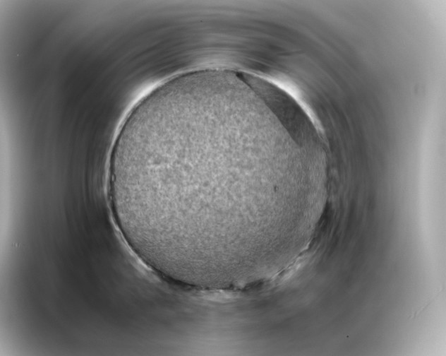 X0000086940815200704301136