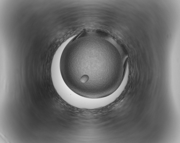 X0000086940818200704301135