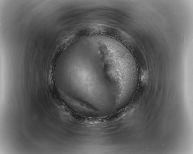 X0000086940819200704301135