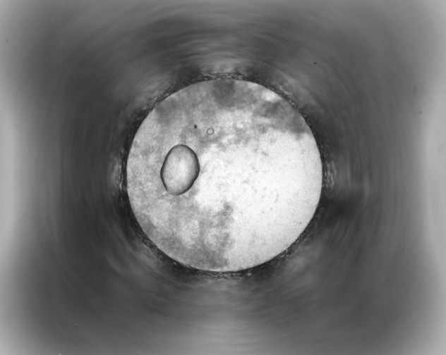 X0000086940820200704301135