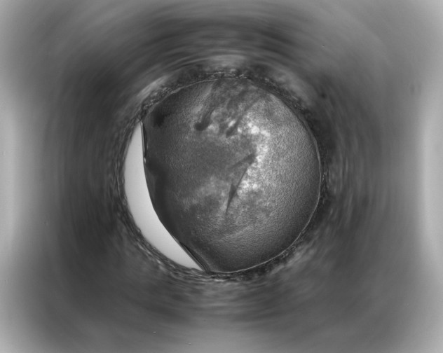 X0000086940821200704301135