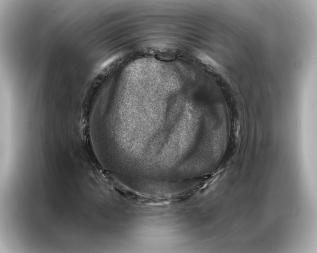 X0000086940822200704301135