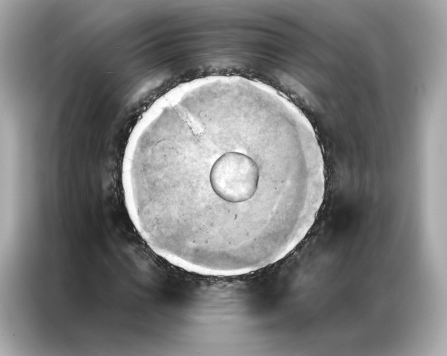X0000086940824200704301135