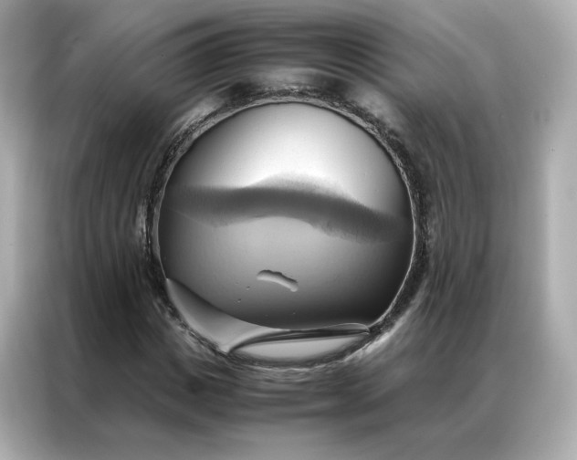 X0000086940825200704301135