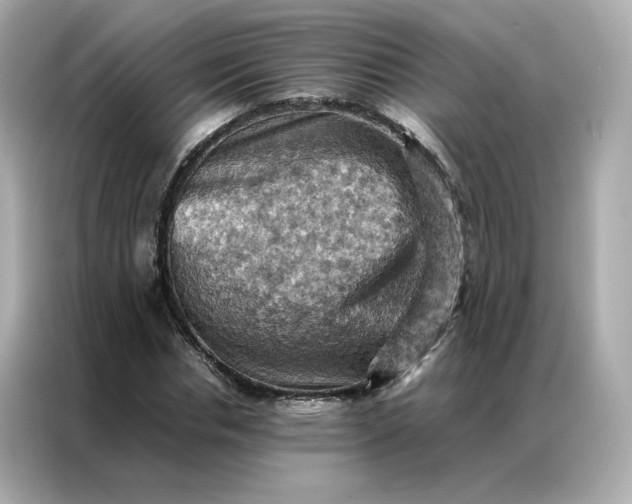 X0000086940826200704301135